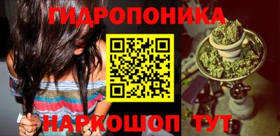 Альфа ПВП Краснодар