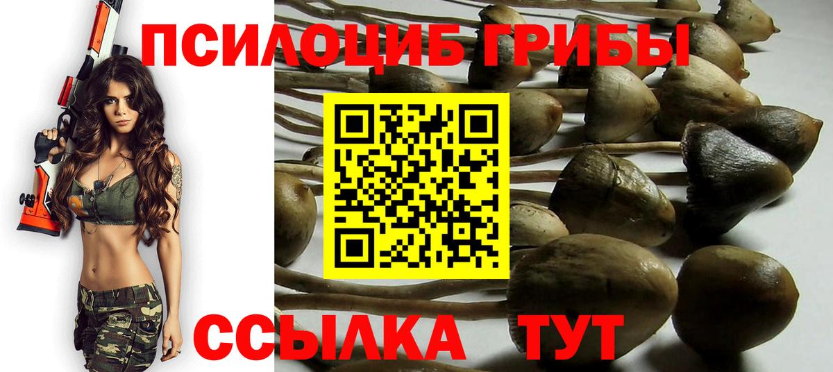 Псилоцибиновые грибы Psilocybine cubensis  Вход с VPN  где продают   Кашира 